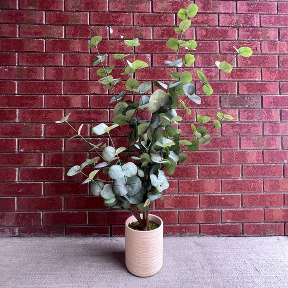 Threshold Accents Target Studio Mcgee Eucalyptus In Pot Poshmark